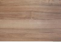 Photo Texture of Fine Wood 0005